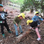 遠足　11月１２日（金）ひよこ・ことり・ひかり組