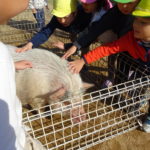 移動動物園　11月25日(木）