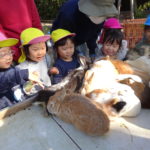 移動動物園　11月25日(木）