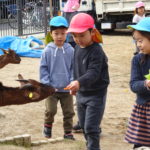 移動動物園　11月25日(木）