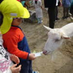 移動動物園　11月25日(木）