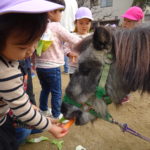 移動動物園　11月25日(木）