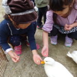 移動動物園　11月25日(木）