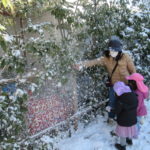 雪遊び！１月１５日（土）