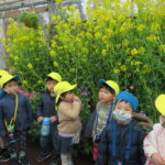 3月7日（月）さよなら遠足（植物園）ことり組・ひよこ組・たんぽぽ組