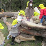 3月7日（月）さよなら遠足（植物園）ことり組・ひよこ組・たんぽぽ組