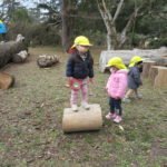 3月7日（月）さよなら遠足（植物園）ことり組・ひよこ組・たんぽぽ組