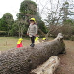 3月7日（月）さよなら遠足（植物園）ことり組・ひよこ組・たんぽぽ組