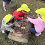 3月7日（月）さよなら遠足（植物園）ことり組・ひよこ組・たんぽぽ組