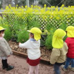 3月7日（月）さよなら遠足（植物園）ことり組・ひよこ組・たんぽぽ組