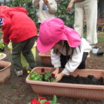 ことり組　花植え・賀茂川散歩　3月２日（水）・３日（木）