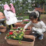 ことり組　花植え・賀茂川散歩　3月２日（水）・３日（木）