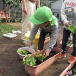 ことり組　花植え・賀茂川散歩　3月２日（水）・３日（木）