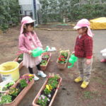 ことり組　花植え・賀茂川散歩　3月２日（水）・３日（木）