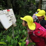 3月7日（月）さよなら遠足（植物園）ことり組・ひよこ組・たんぽぽ組