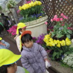 3月7日（月）さよなら遠足（植物園）ことり組・ひよこ組・たんぽぽ組