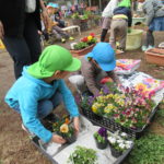 ことり組　花植え・賀茂川散歩　3月２日（水）・３日（木）