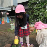 ことり組　花植え・賀茂川散歩　3月２日（水）・３日（木）