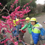 3月7日（月）さよなら遠足（植物園）ことり組・ひよこ組・たんぽぽ組