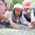 ことり組　お散歩（下鴨神社）4月28日