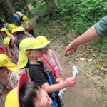 ひよこ組　下鴨神社散歩　２０２２年５月１６日(月)