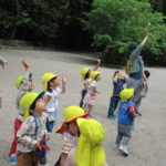 ひよこ組　下鴨神社散歩　２０２２年５月１６日(月)