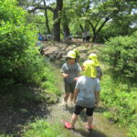 春の遠足　5月23日（月）　ひよこ・ことり・ひかり組