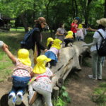 たんぽぽ組　親子遠足　6月１日（水）