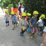 ひよこ組　下鴨神社　お散歩 　６月１日（水）