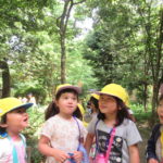 ひよこ組　下鴨神社　お散歩 　６月１日（水）