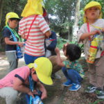 ひよこ組　下鴨神社　お散歩 　６月１日（水）