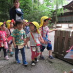 ひよこ組　下鴨神社　お散歩 　６月１日（水）