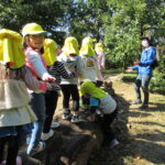 ことり・ひよこ・たんぽぽ組　お散歩遠足　10月２６日（水）