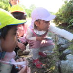 １１月２日（水）バス遠足（船岡山）