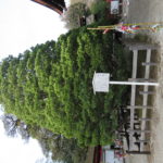 たんぽぽ組　神社へお散歩　１月１３日（金）