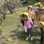 ３月８日（水）　ことり組・ひよこ組　さよなら遠足