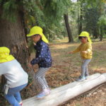 ３月８日（水）　ことり組・ひよこ組　さよなら遠足