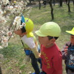 ３月８日（水）　ことり組・ひよこ組　さよなら遠足