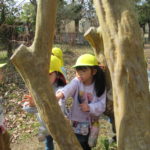 ３月８日（水）　ことり組・ひよこ組　さよなら遠足