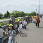 ことり組・ひかり組　お散歩（賀茂川）4月21日（金）